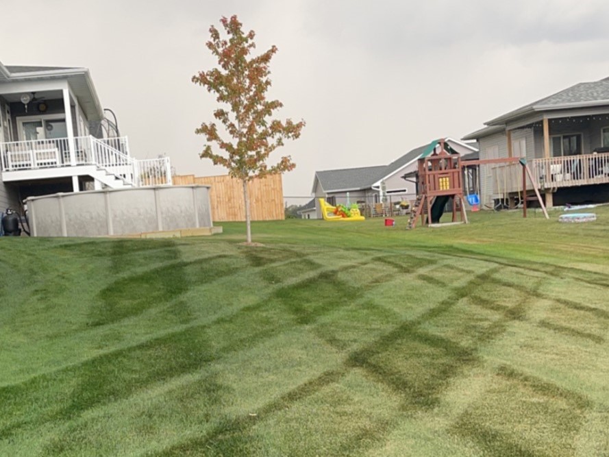 Clean Cut Angleton Tx Services - Clean Cut Turf